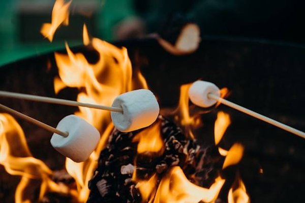 Top des campings familiaux incontournables en ardèche sud